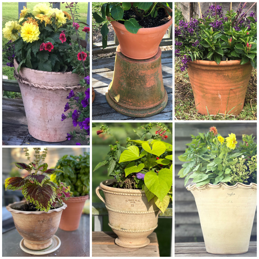 Patina on Terracotta Flowerpots