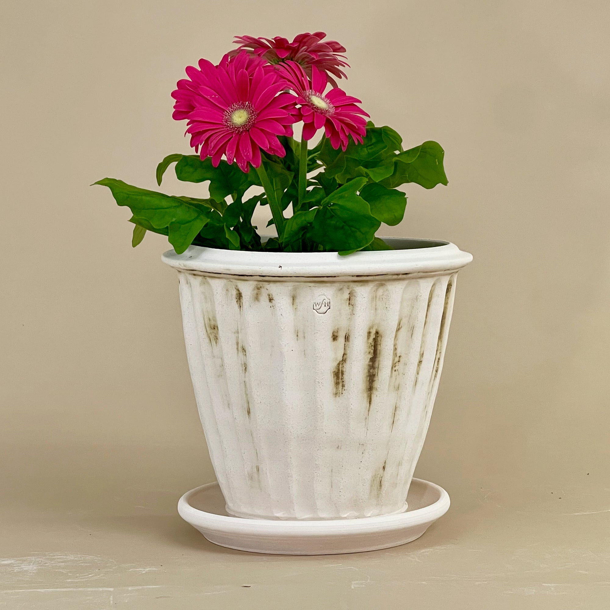 Fluted Tuscan Full Pot with Saucer