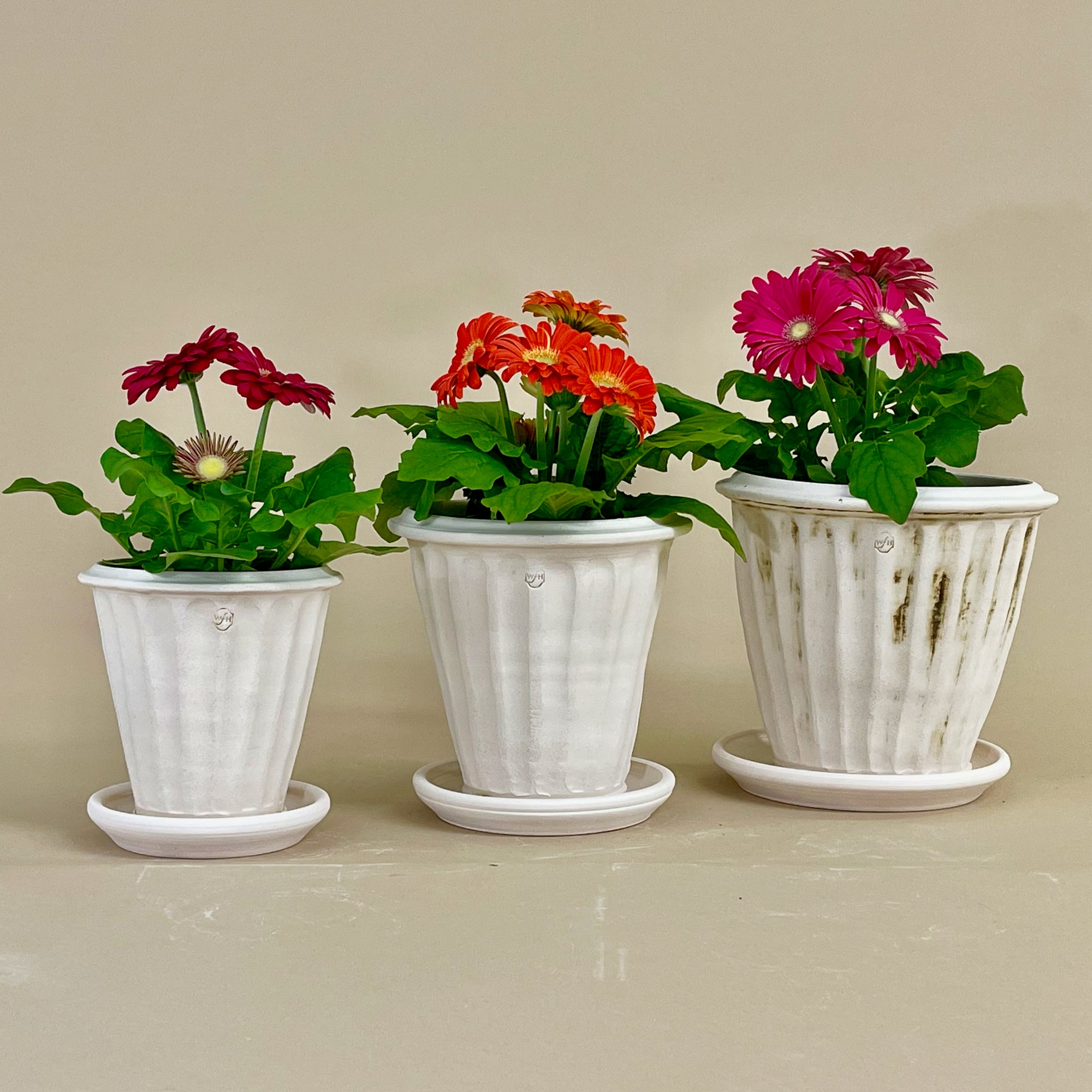 Fluted Tuscan Full Pot with Saucer