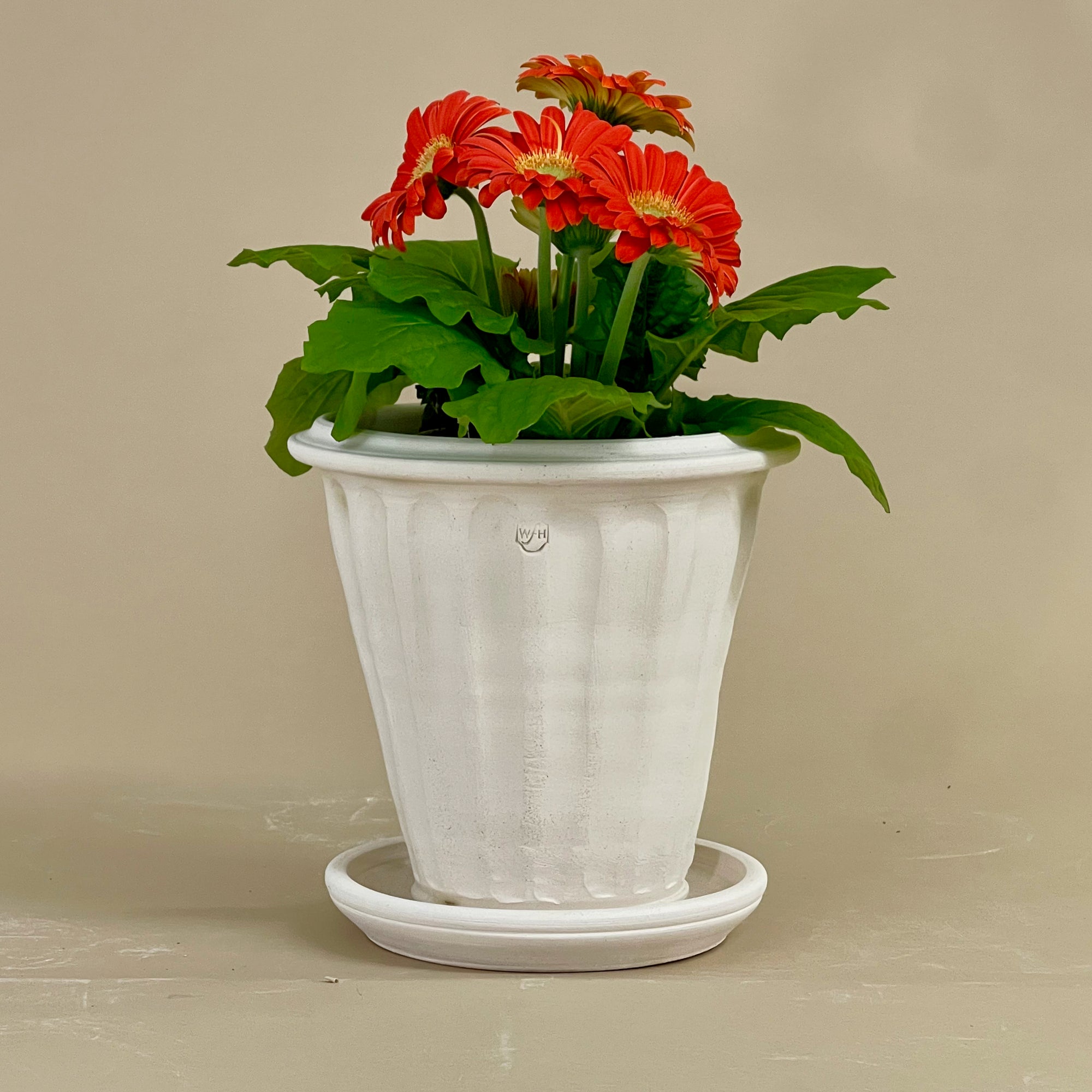 Fluted Tuscan Full Pot with Saucer