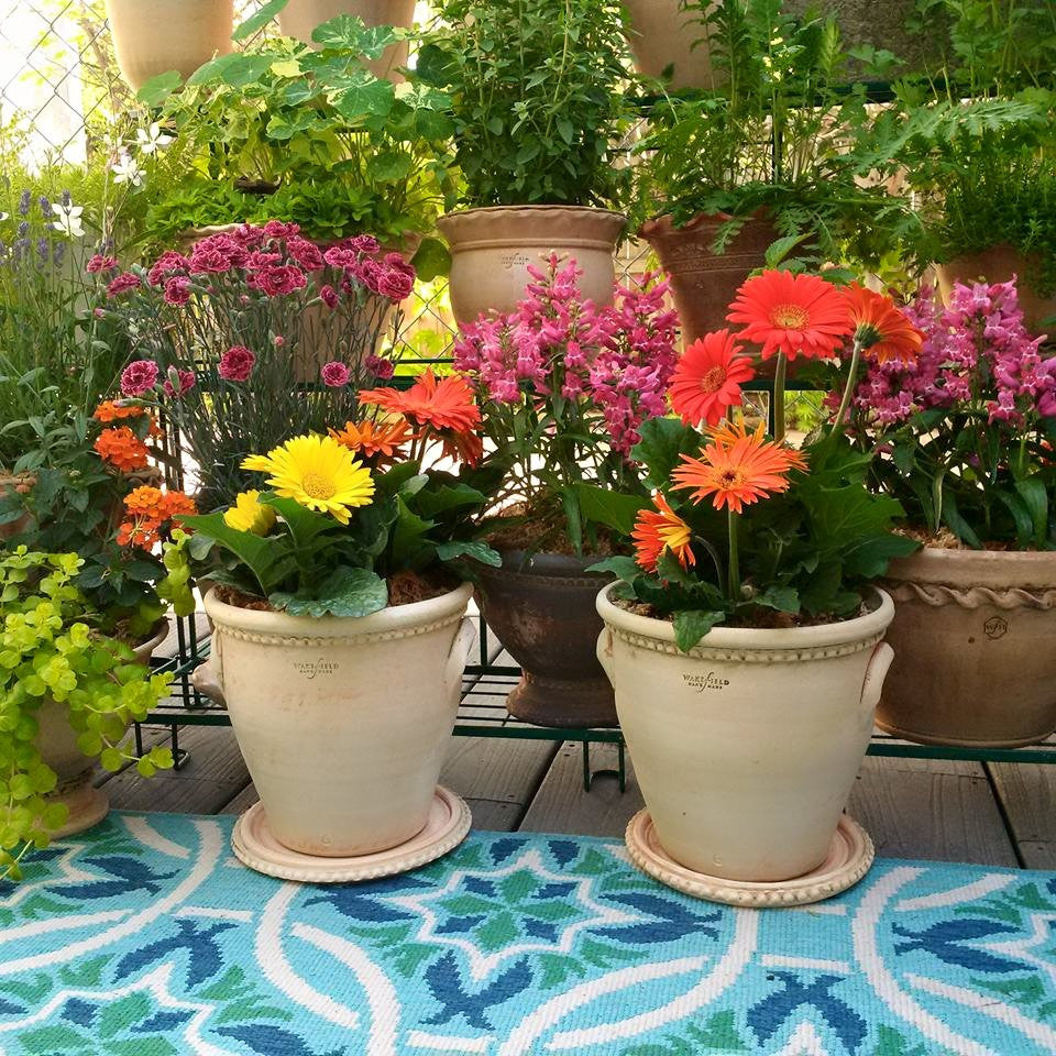 Flowerpots at Home in Michigan