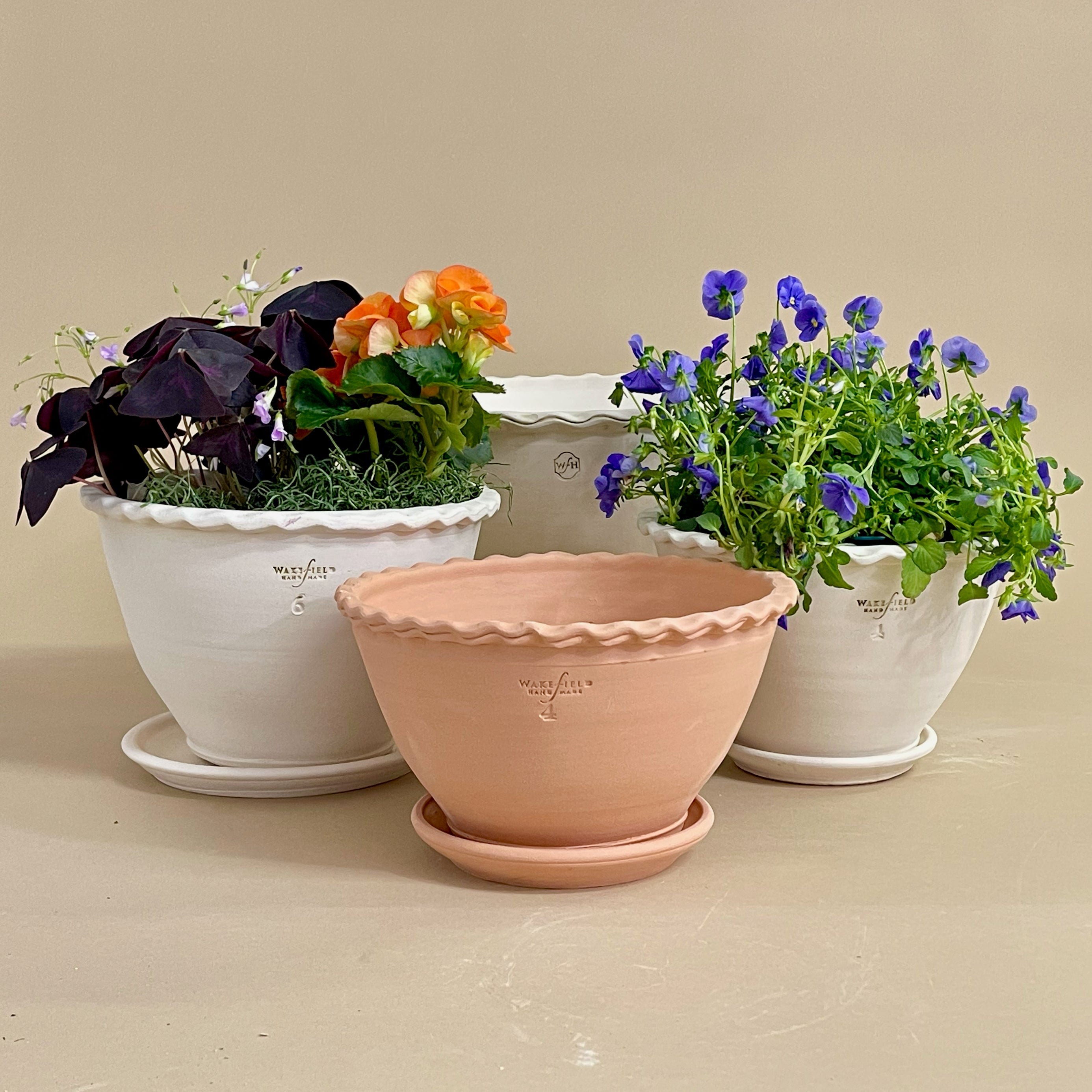 2023 Late Spring Preorder Extras