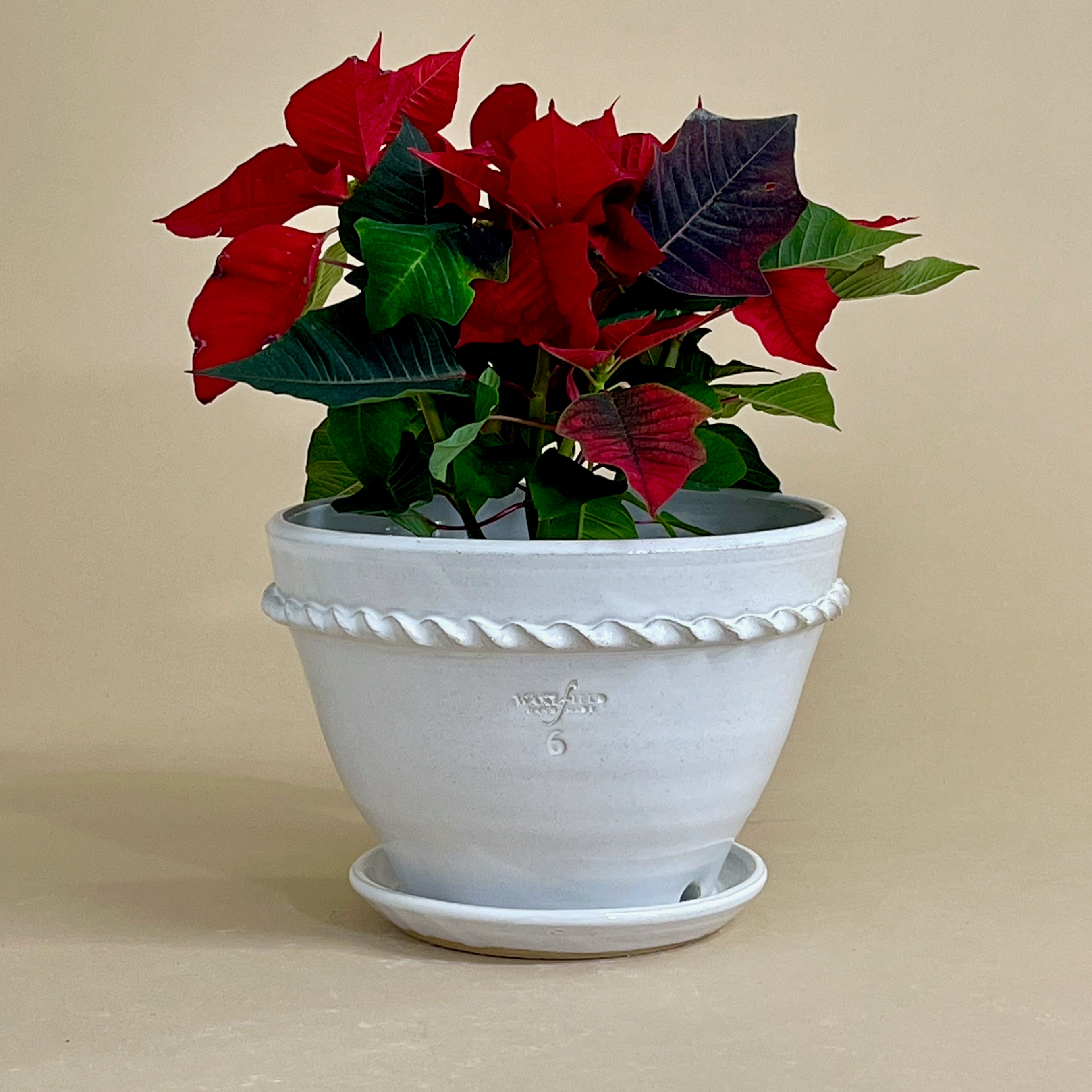 Holiday In-Stock Sale
