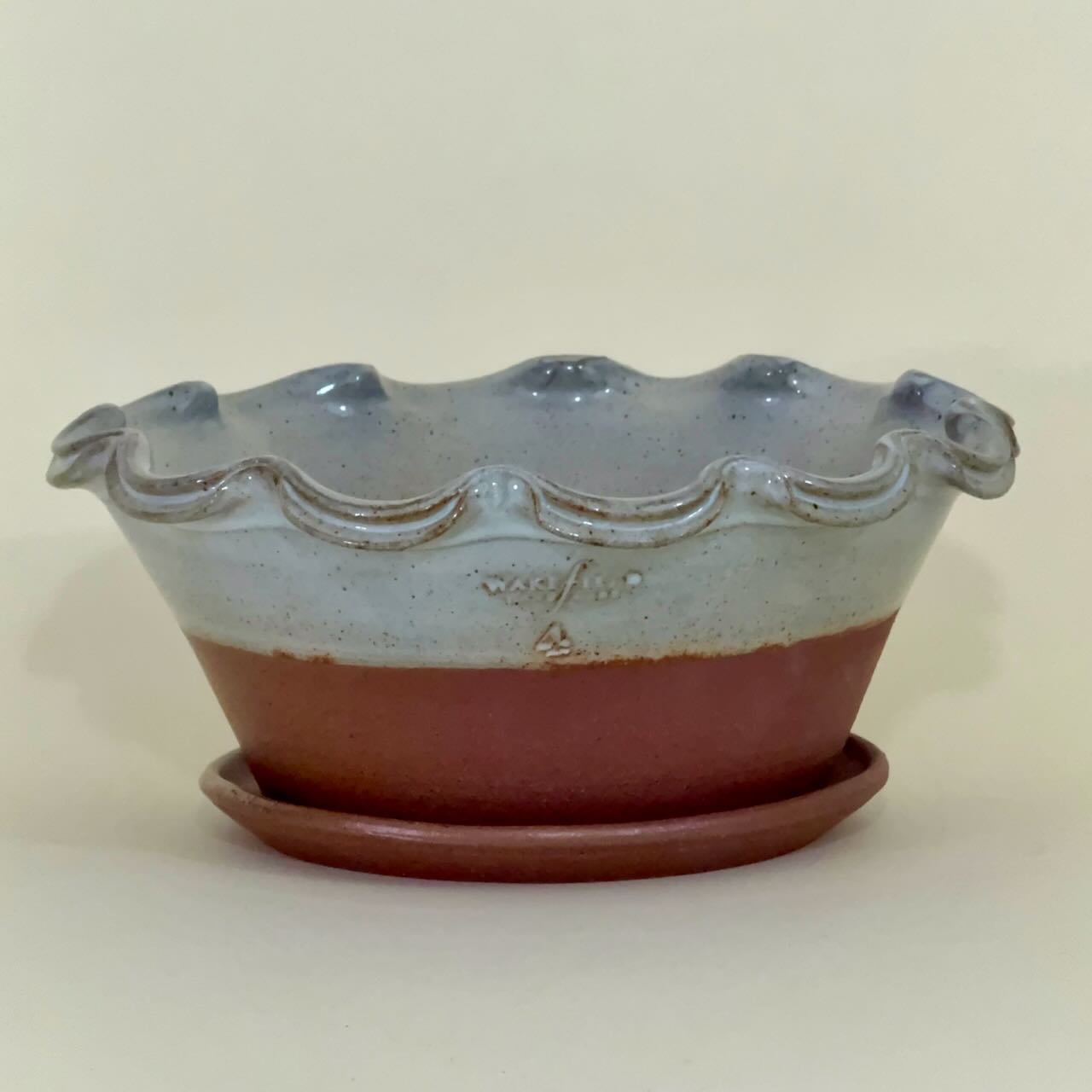 English Split Rim Scallop with Attached Saucer