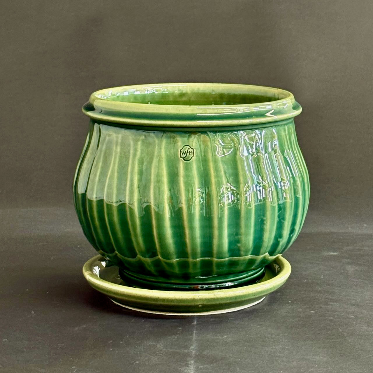 Fluted Amaryllis Pot with saucer
