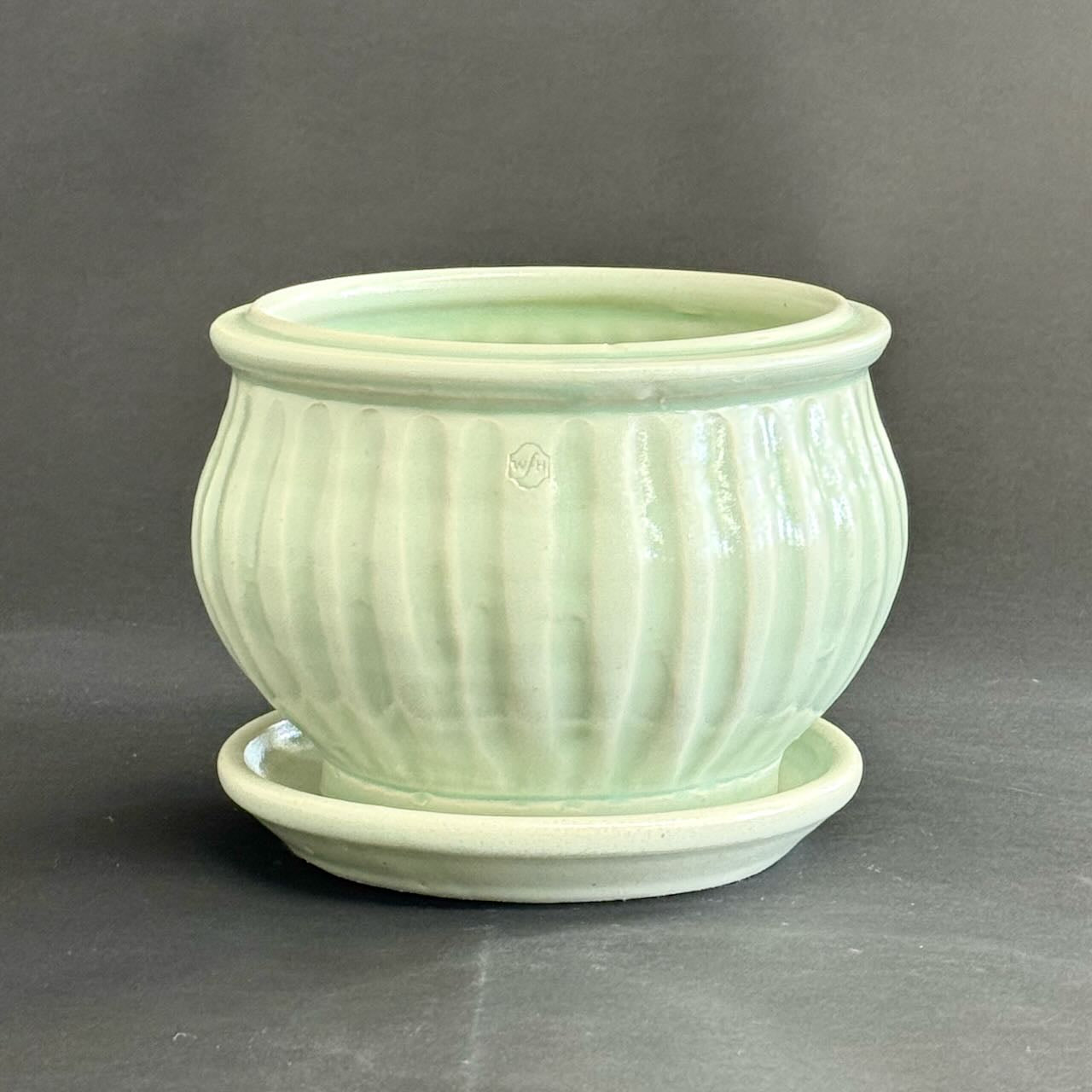 Fluted Amaryllis Pot with saucer