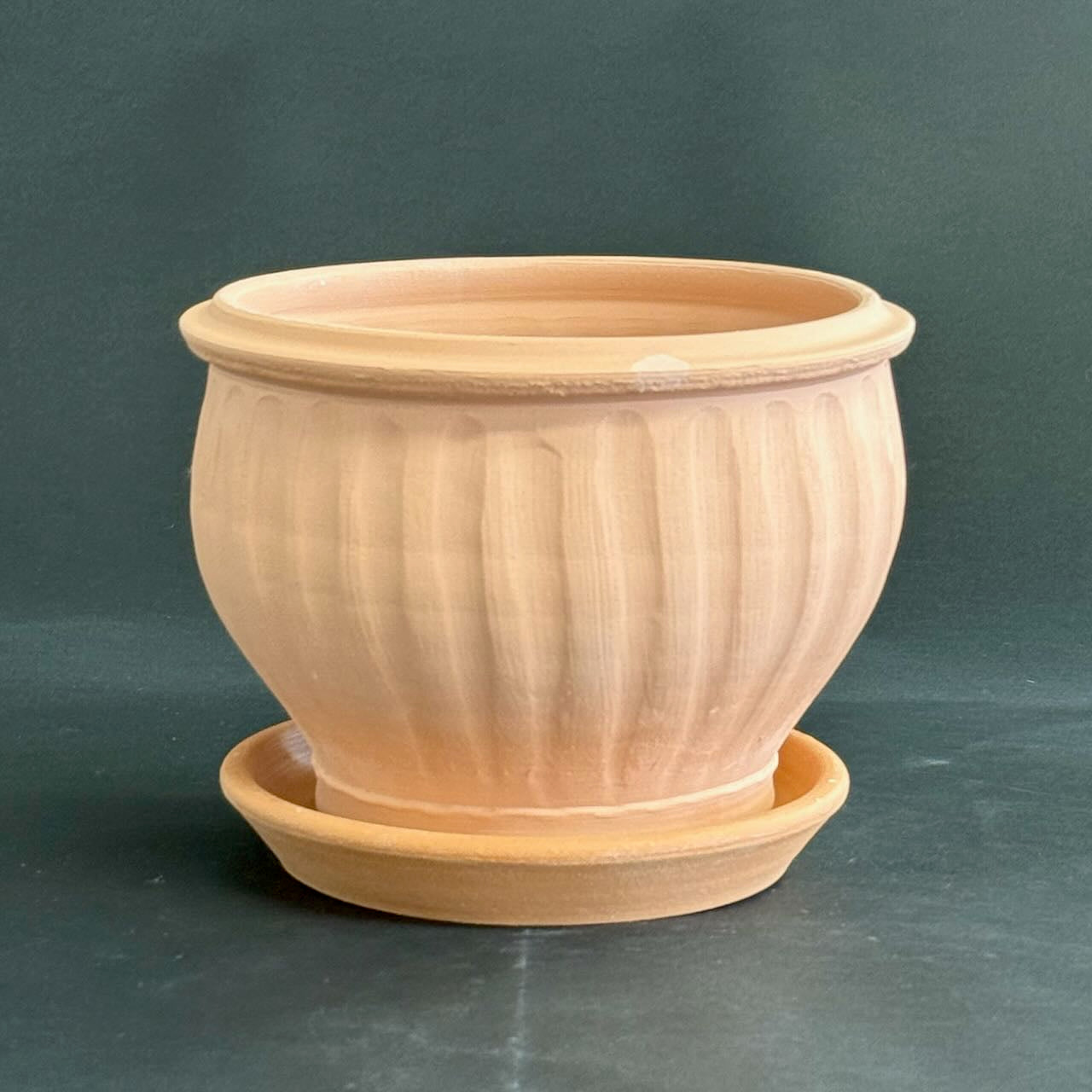 ceramic fluted flower pot Fluted Amaryllis Pot, NO Saucer
