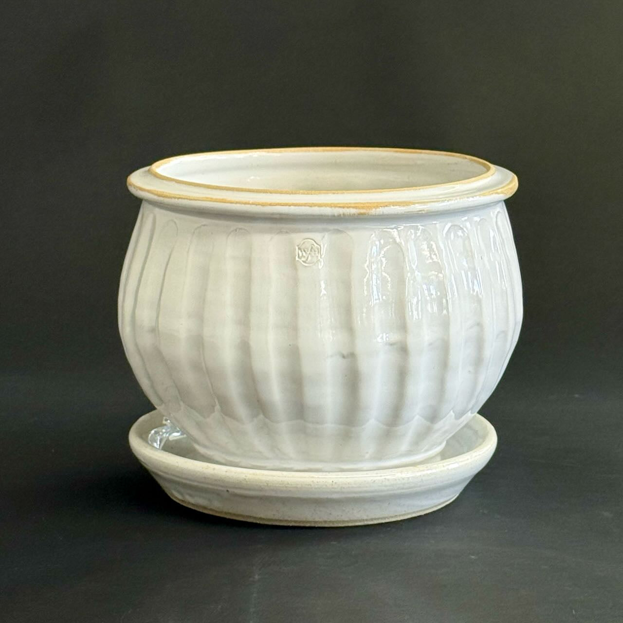 Fluted Amaryllis Pot with saucer