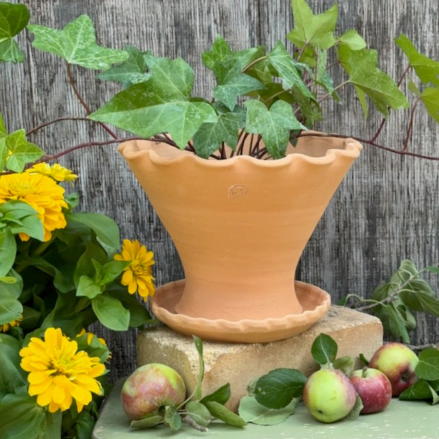 Terra Rosa Clay Provencal Scallop with piecrust saucer