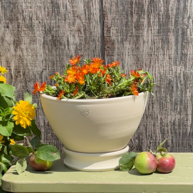 Tazza Bowl with Pedestal Saucer, Natural White Clay