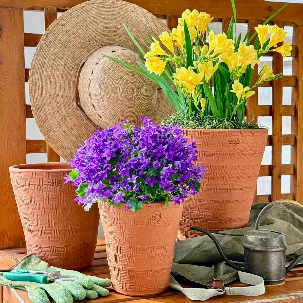 Basketweave Full Pot with Saucer