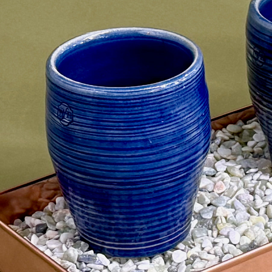 Spiral Herb Pots, Set of 4 with Rectangular Metal Tray