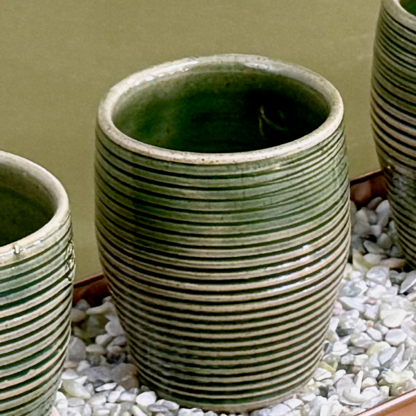 Spiral Herb Pots, Set of 4 with Rectangular Metal Tray