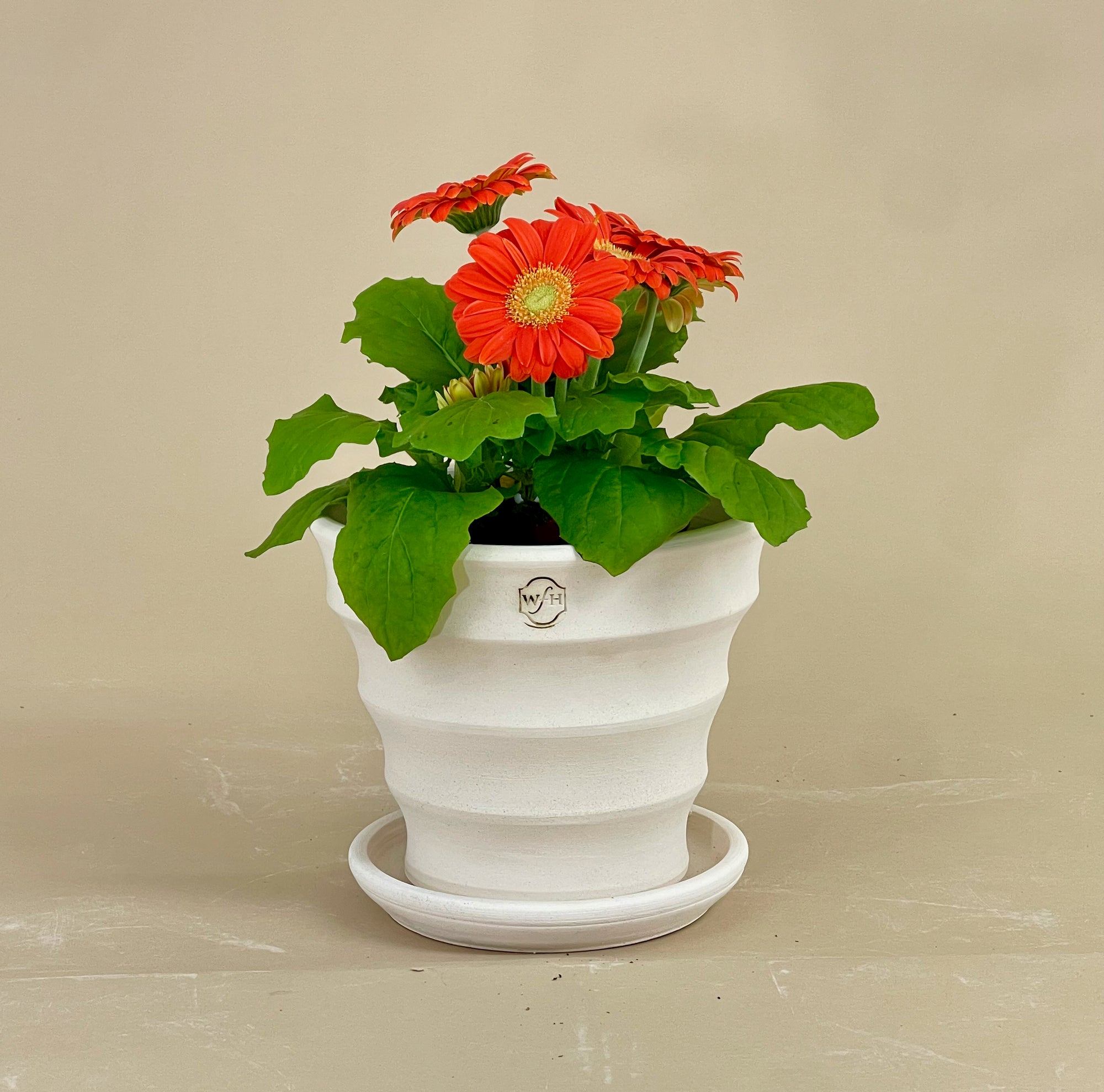 Furrowed Flower Pot with Saucer