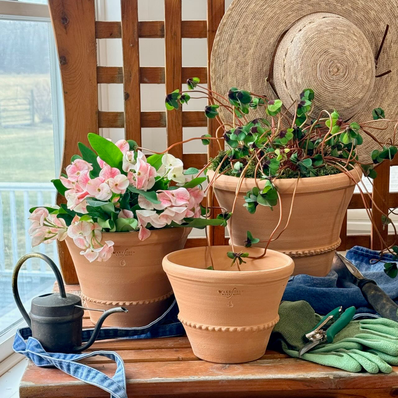 Montelupo Flowerpot with Saucer