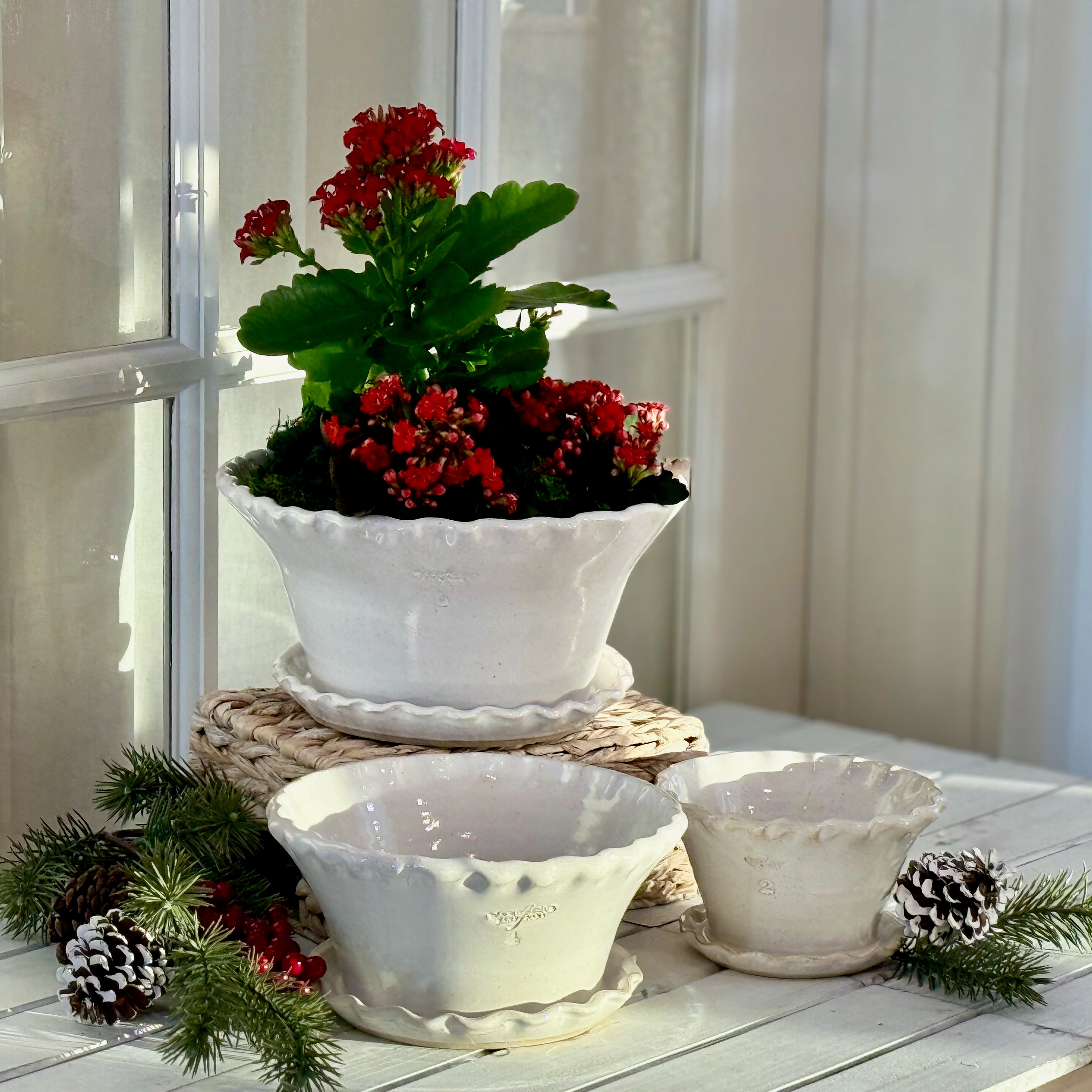 PennCrimpedAtt_Beauty_06f24ceb