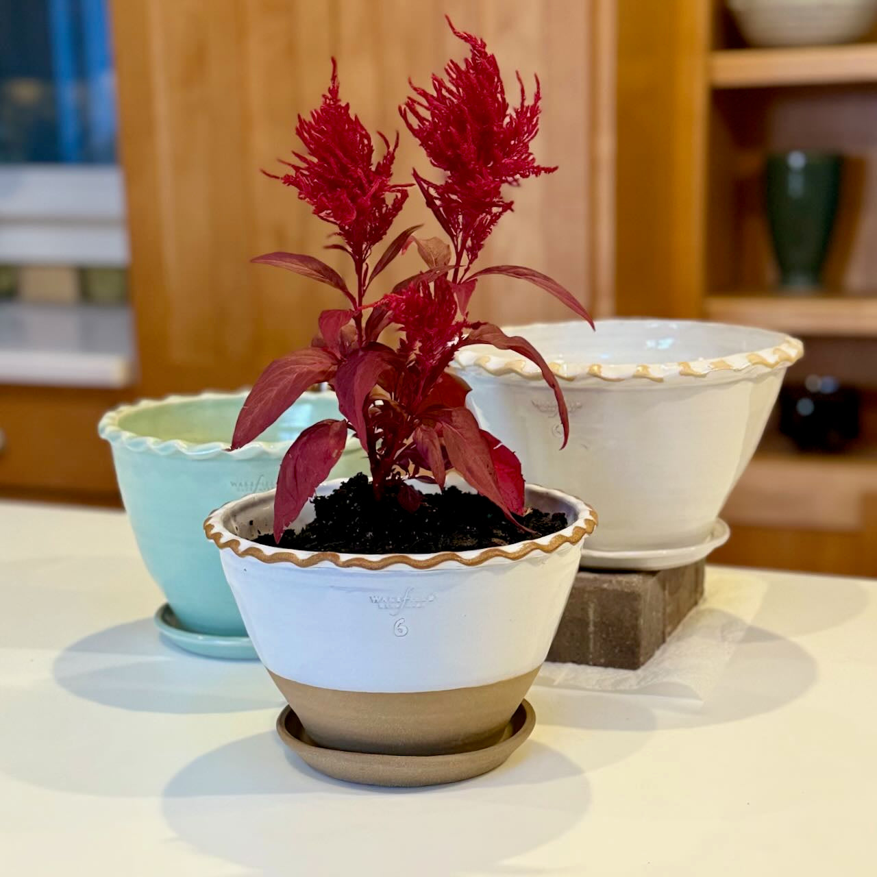 Pie Crust Rim Bowl with Attached Saucer