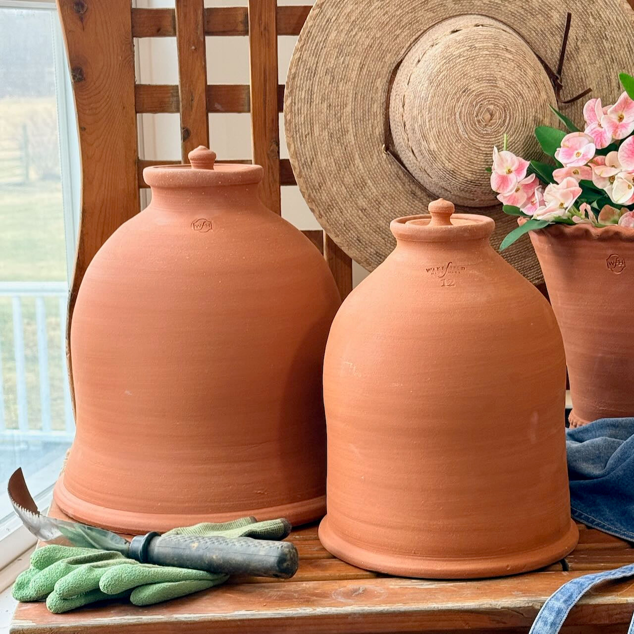 Sea Kale Forcers,  Red Terra Cotta