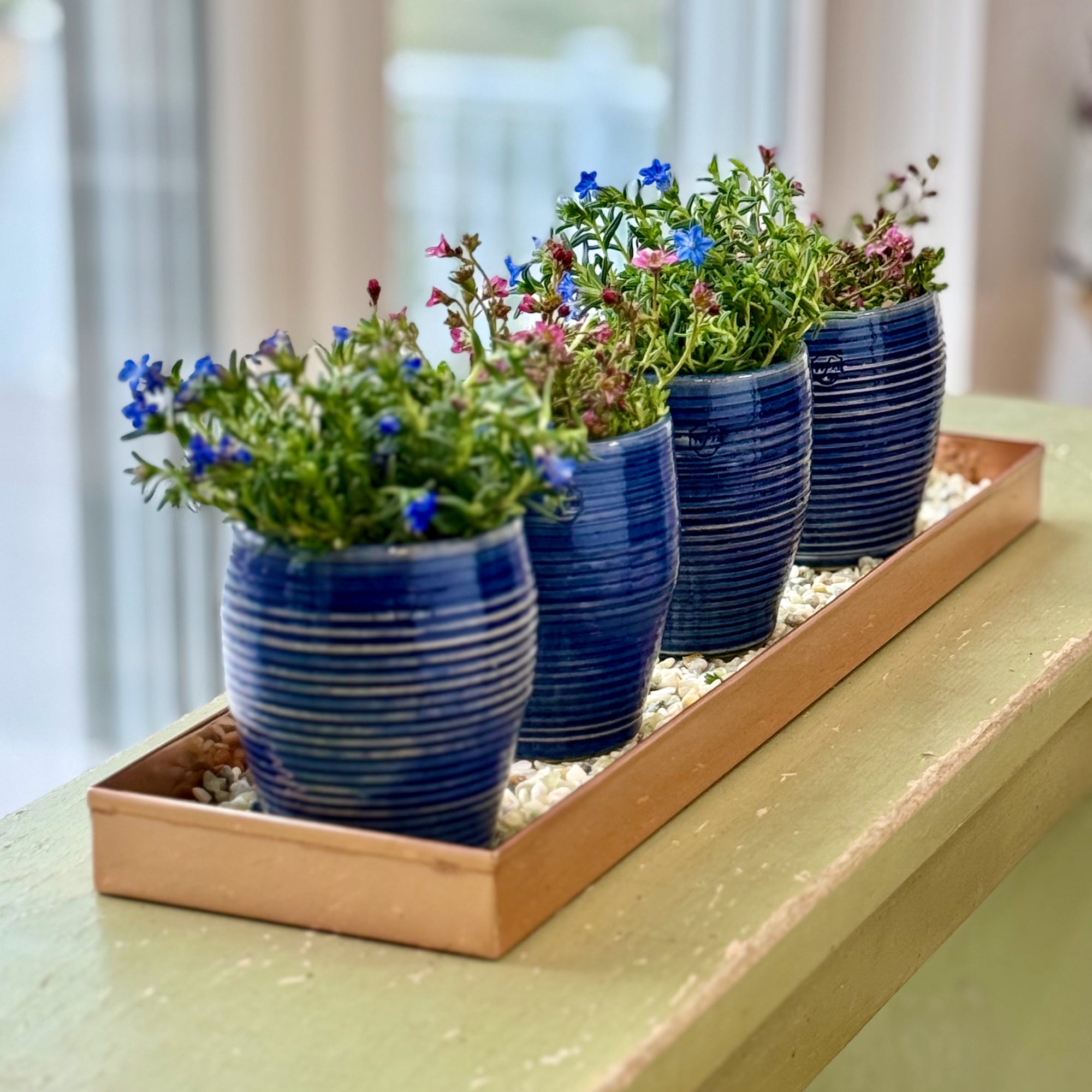 small herb plant pots Spiral Herb Pots
