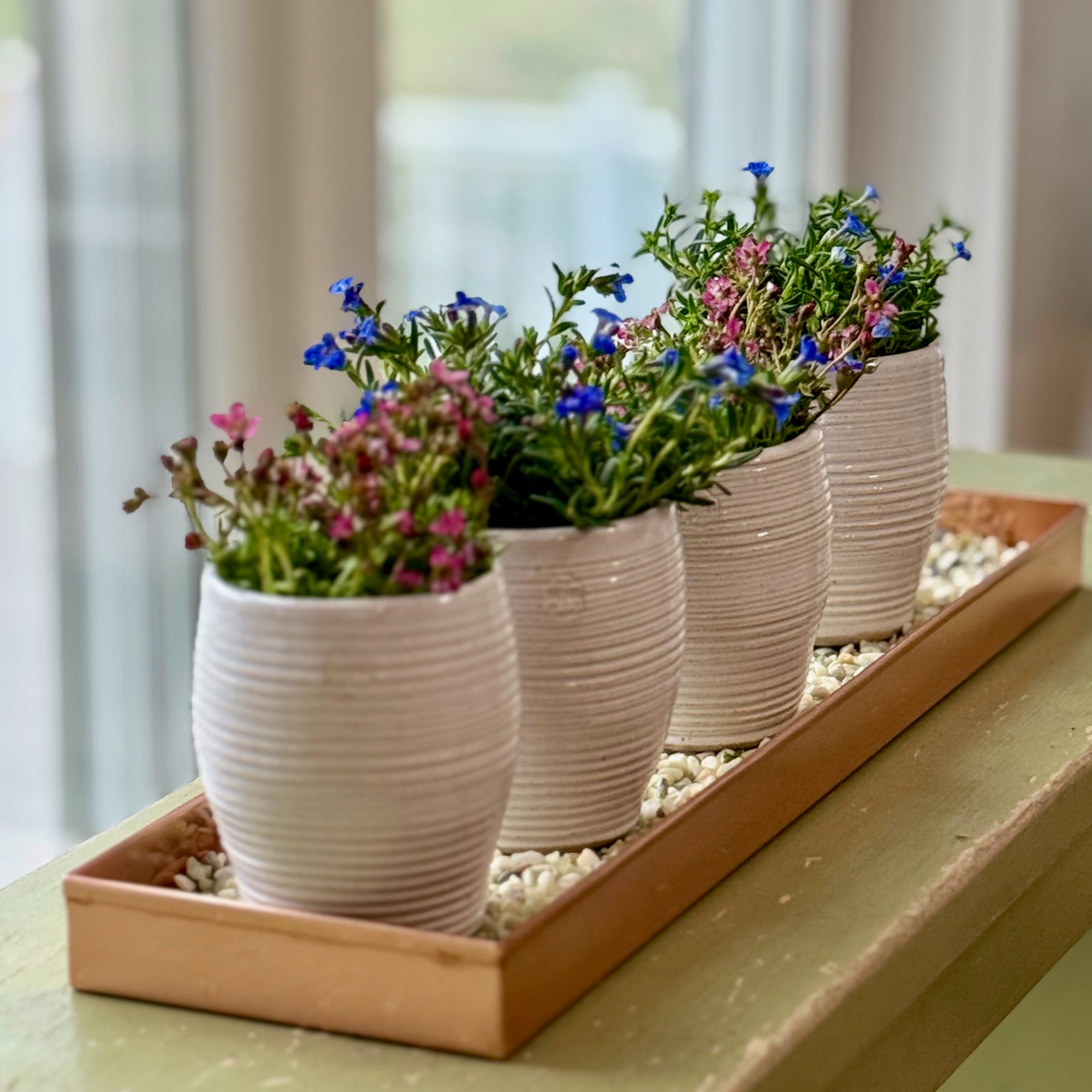 herb plant pots Spiral Herb Pots