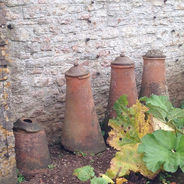 Rhubarb Chimney